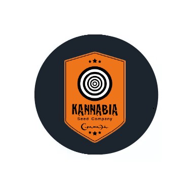 Kannabia Seeds Auto