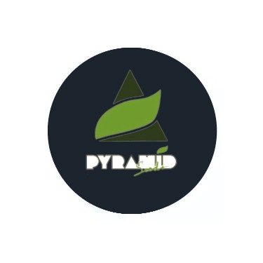 Pyramid Seeds Auto