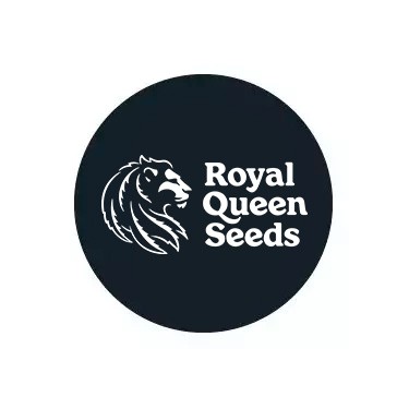 Royal Queen Seeds Auto