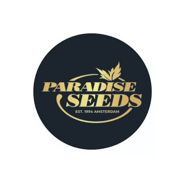 Paradise Seeds Autoflowerig