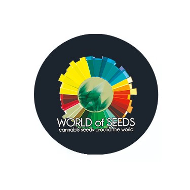 World of Seeds Feminized 