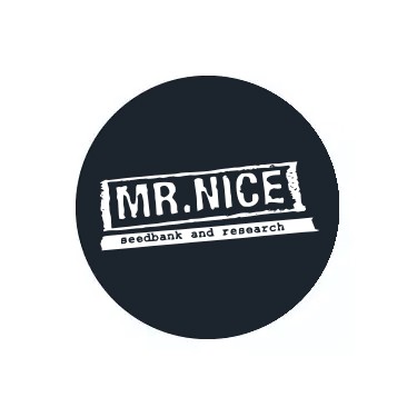 Mr. Nice Seed Bank Regular