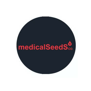 Medical Seeds Regular