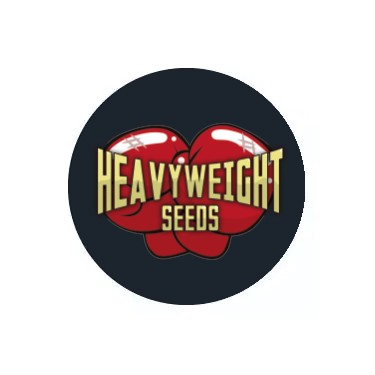 Heavyweight Seeds Auto