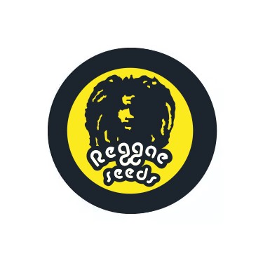 Reggae Seeds Regular