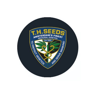 T.H.Seeds Autoflowering