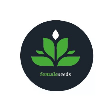 Feminized Seeds 
