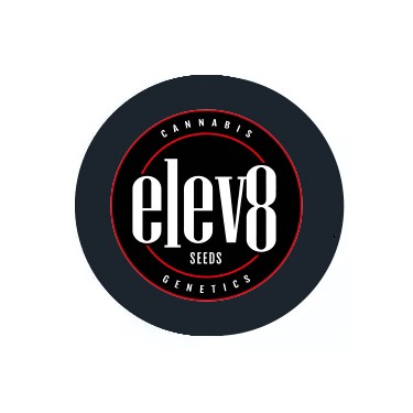 Elev8
