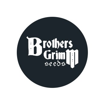 Brothers Grimm Seeds Regular