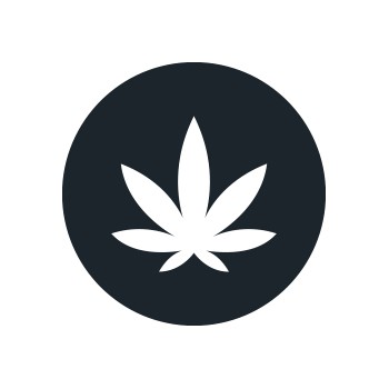Indica Seeds