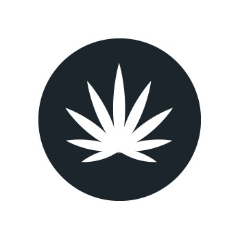 Sativa Seeds