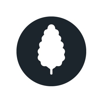 Productive Cannabis Seeds
