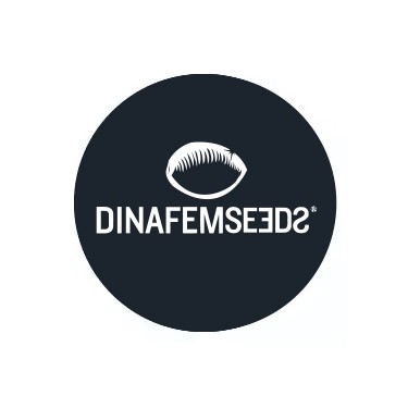 Dinafem Seeds Feminized