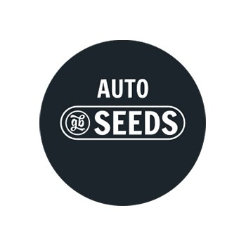 Autoflowering bulk seeds