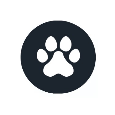 CBD for Pets