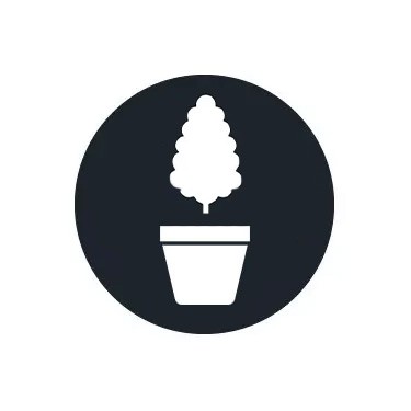 Flowering Fertilizers
