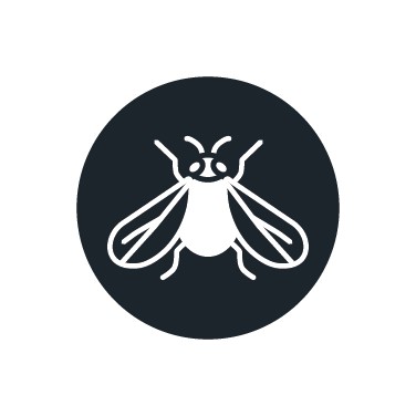 Whitefly insecticide
