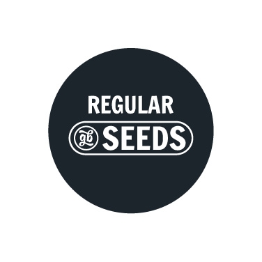 Regular Bulk Seeds